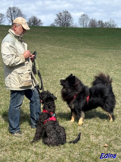 11.4.2025 - Howard und Herkules voll aufmerksam